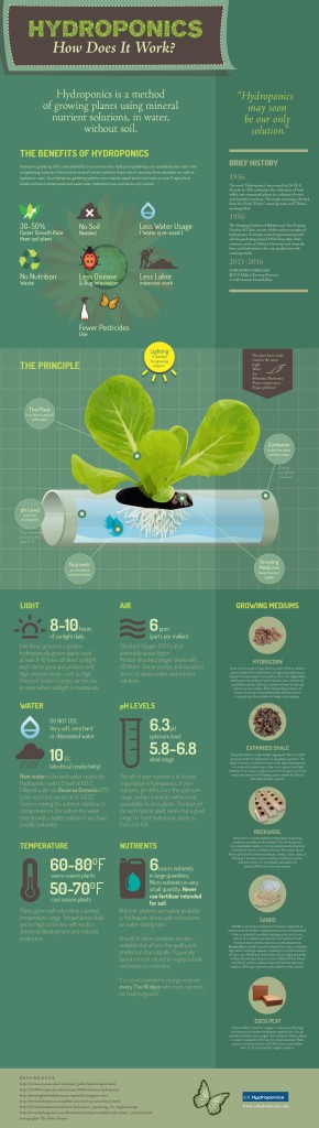 hydroponics-how-does-it-work