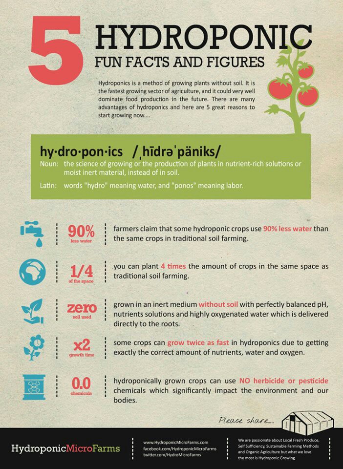 5-hydroponics-fun-facts-figures
