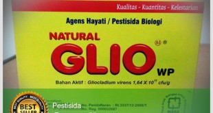 natural-glio